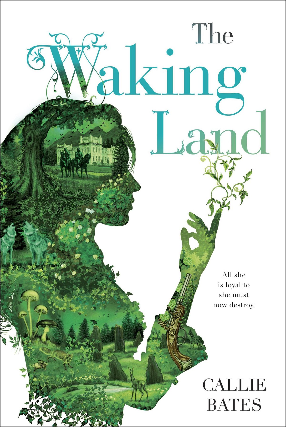 Cover of The Waking Land