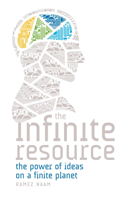 Cover of The Infinite Resource (1859)