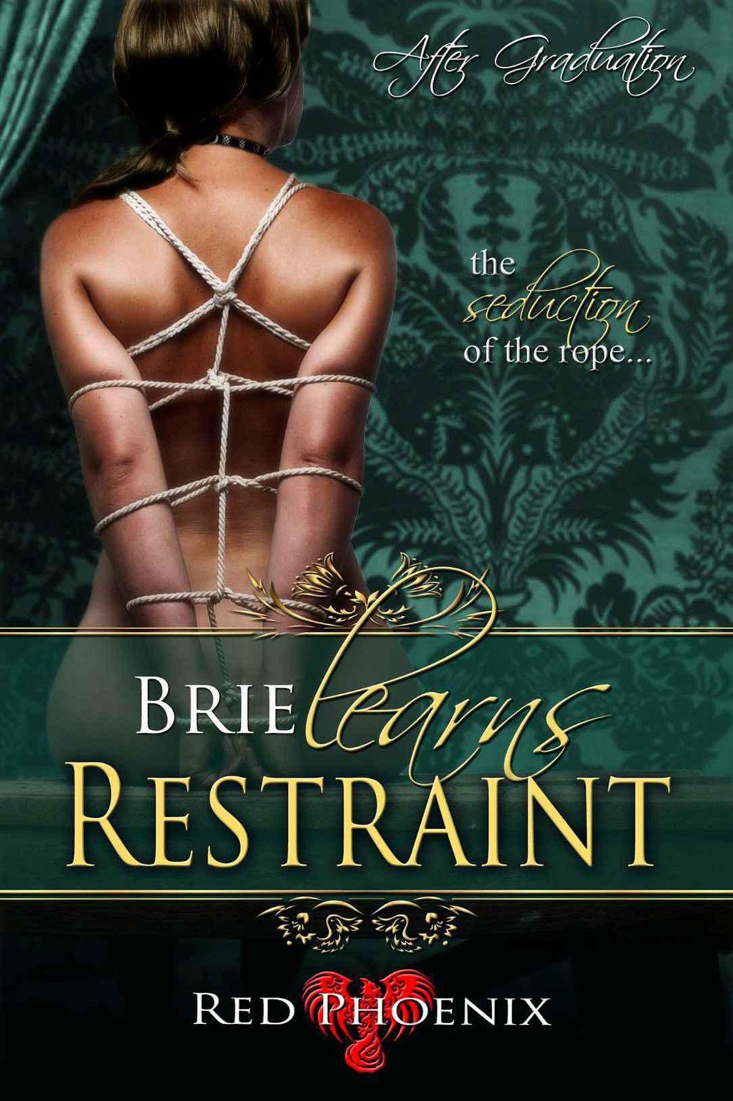 Cover of Brie Learns Restraint