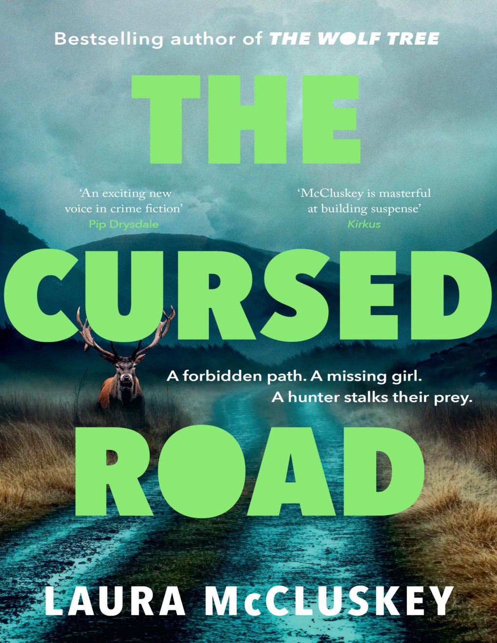 Cover of The Cursed Road