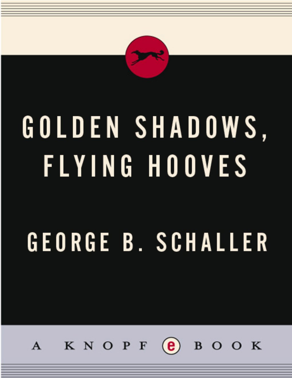 Cover of Golden Shadows (1933)
