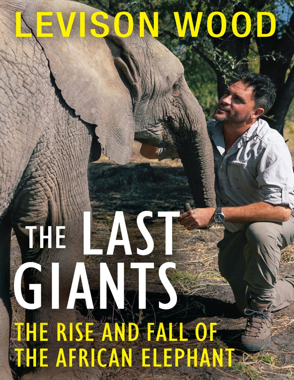 Cover of The Last Giants (2008)