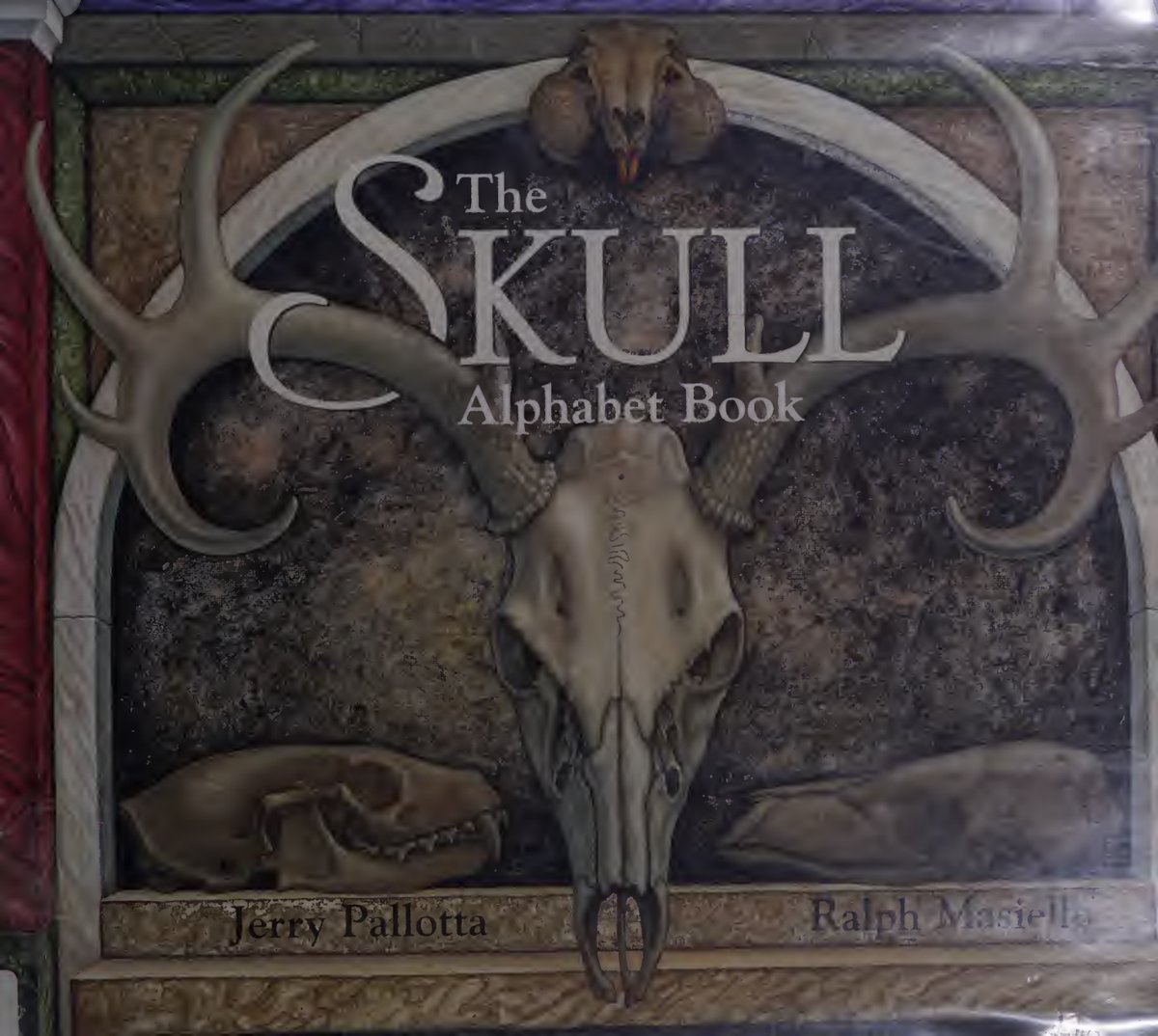 Cover of The skull alphabet book