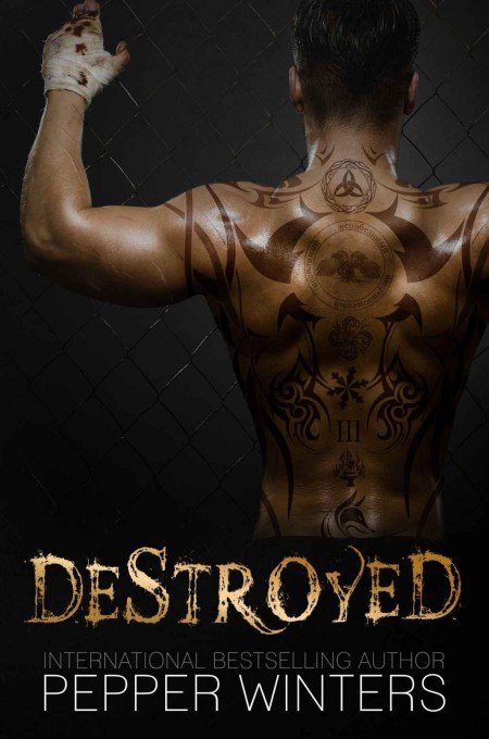 Cover of Destroyed