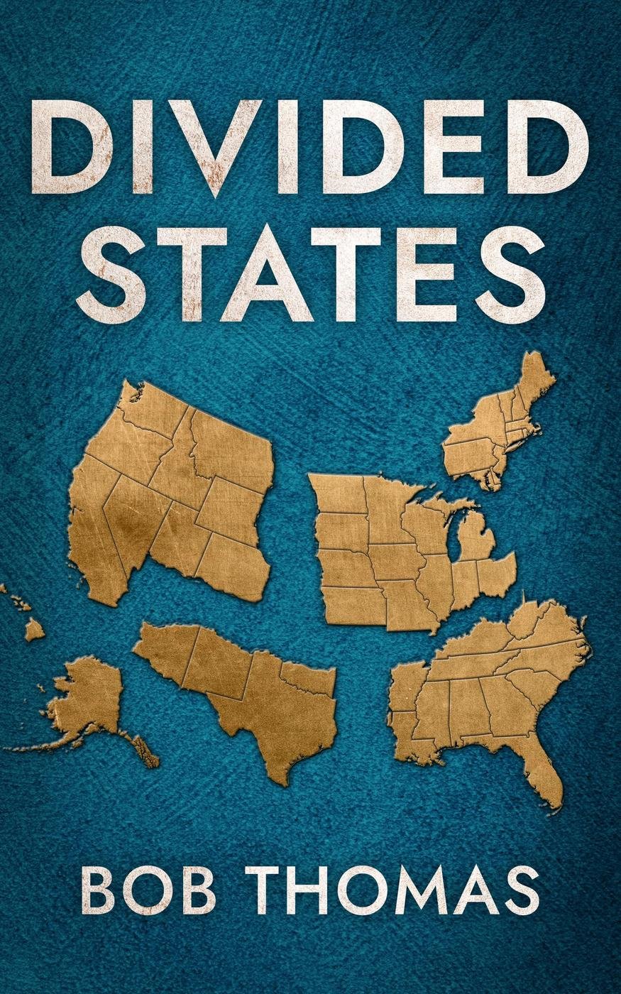 Cover of Divided States
