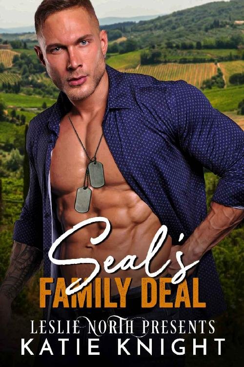Cover of SEAL's Family Deal