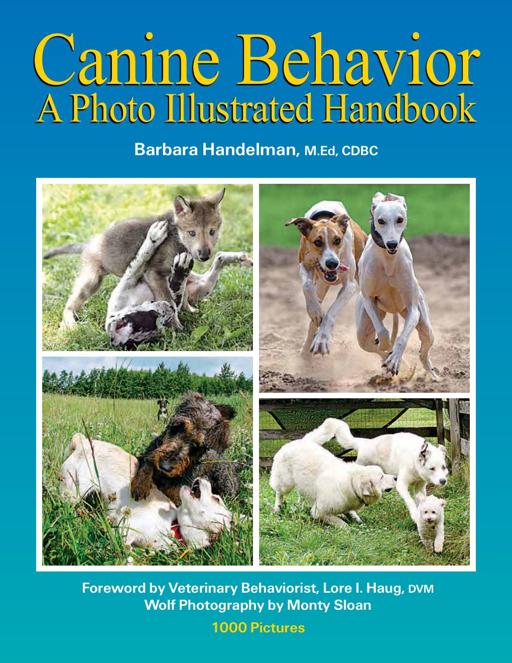 Cover of Canine Behavior (2004)