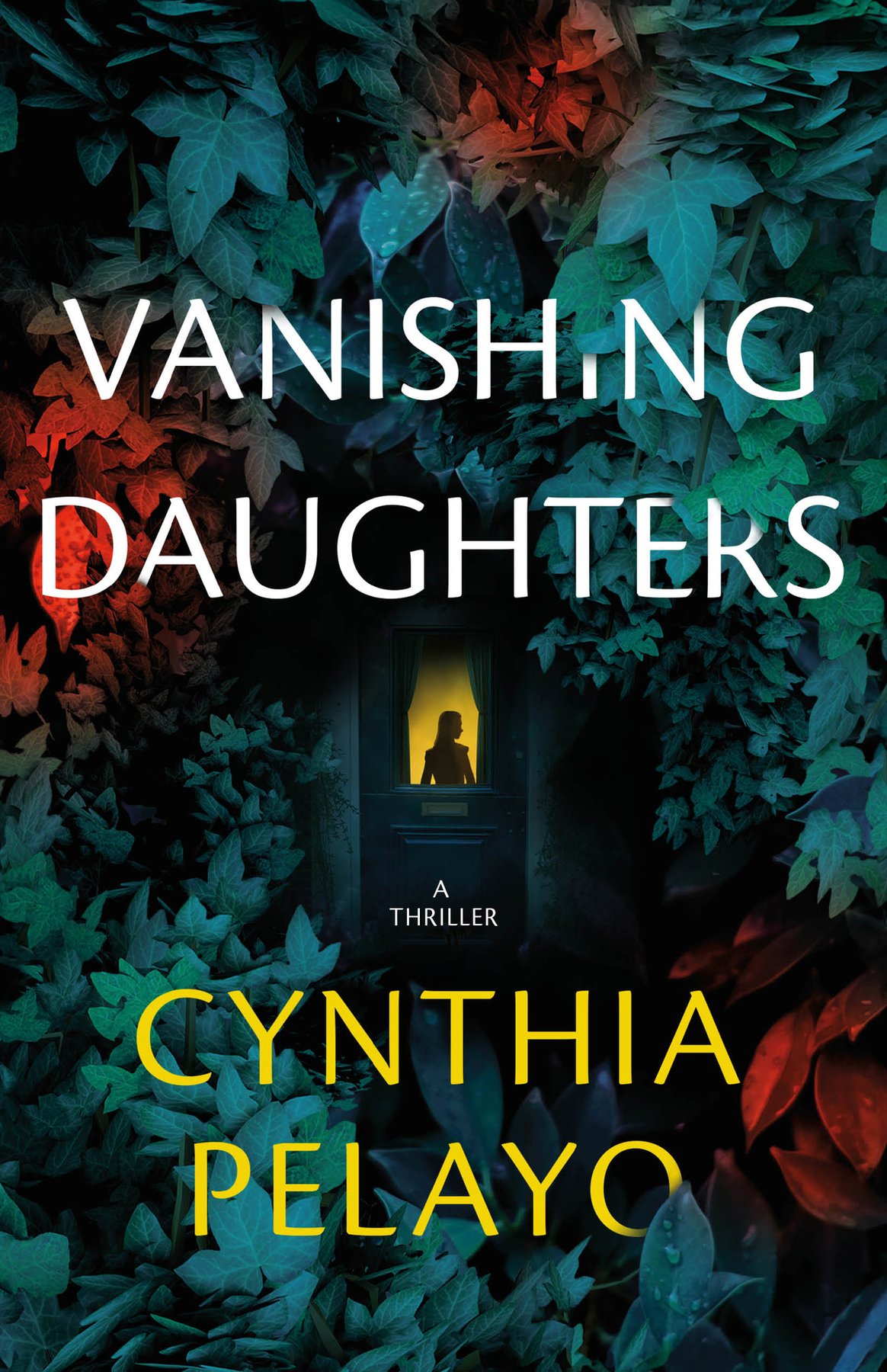 Cover of Vanishing Daughters: A Thriller