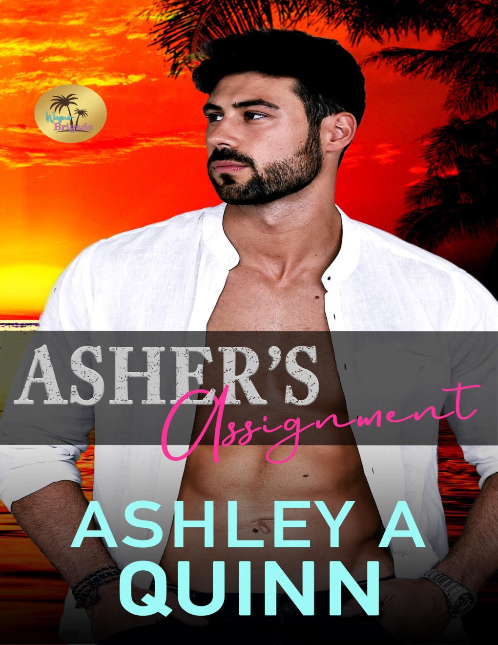 Cover of Asher's Assignment (2016)