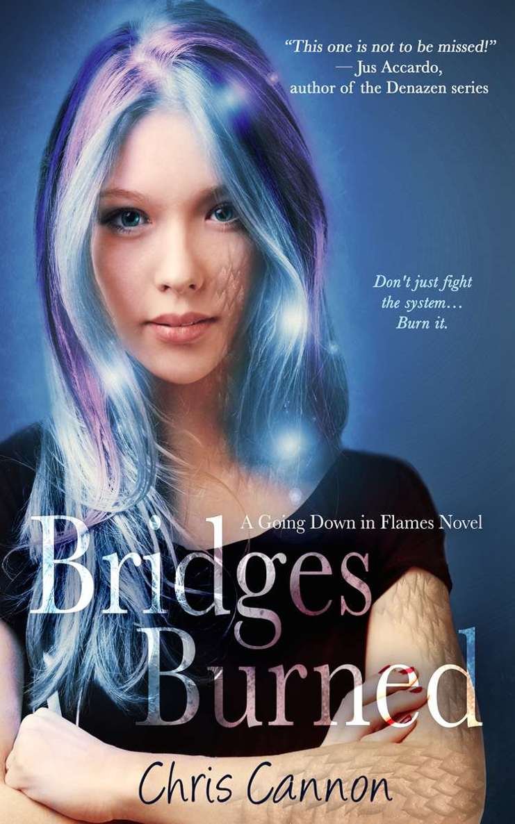 Cover of Bridges Burned (2015)
