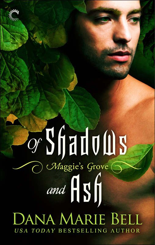 Cover of Of Shadows and Ash (2014)