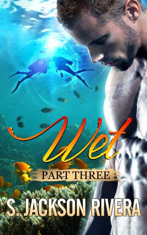 Cover of Wet Part 3