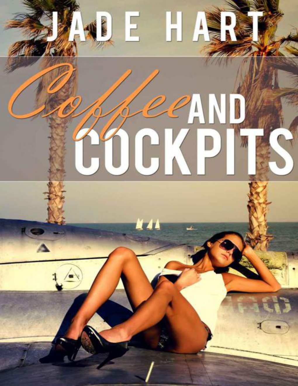 Cover of Coffee and Cockpits