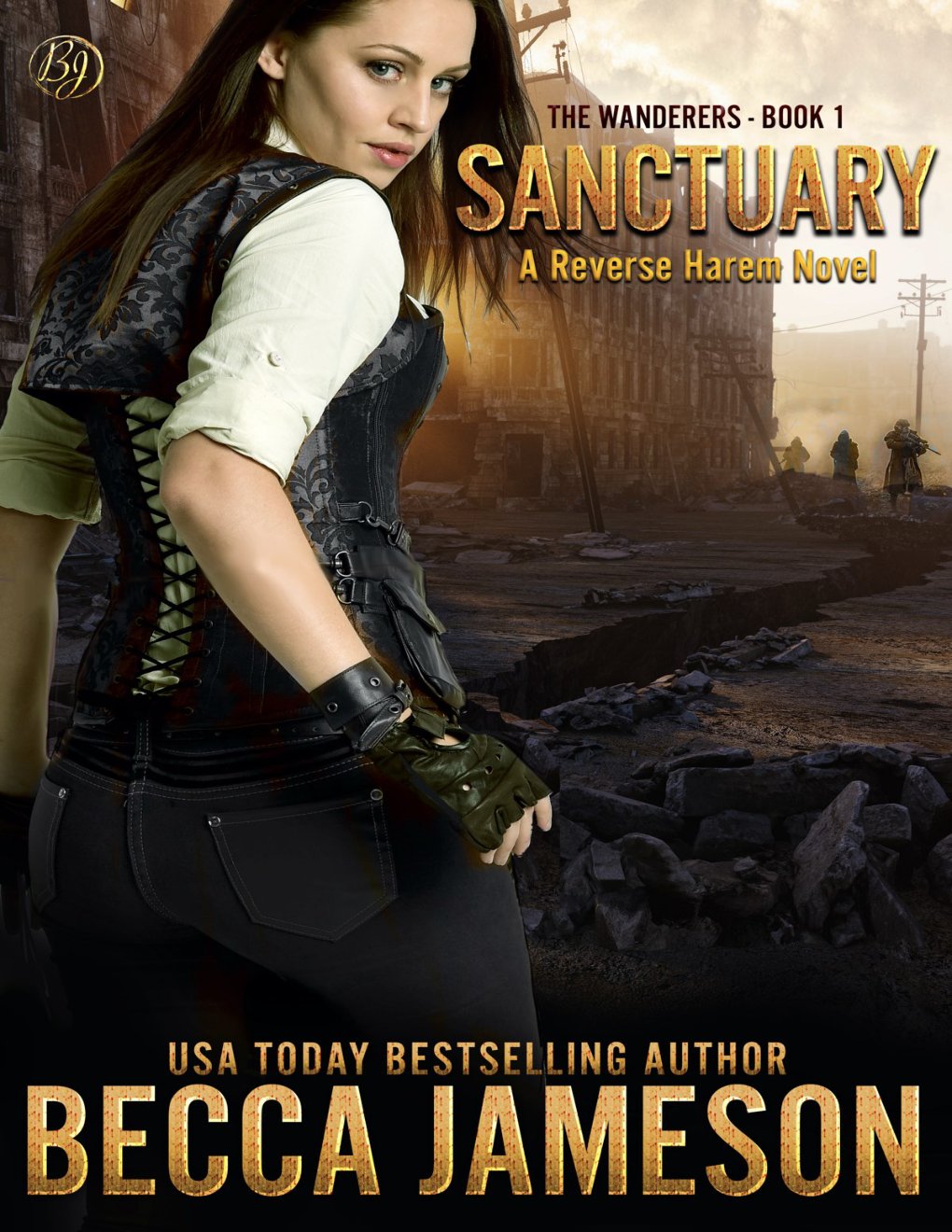 Cover of Sanctuary