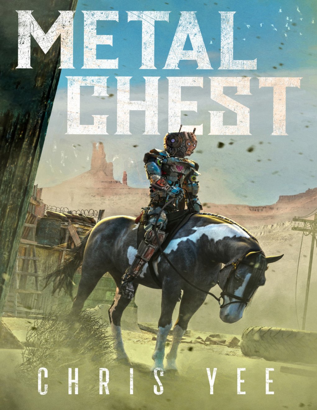 Cover of Metal Chest