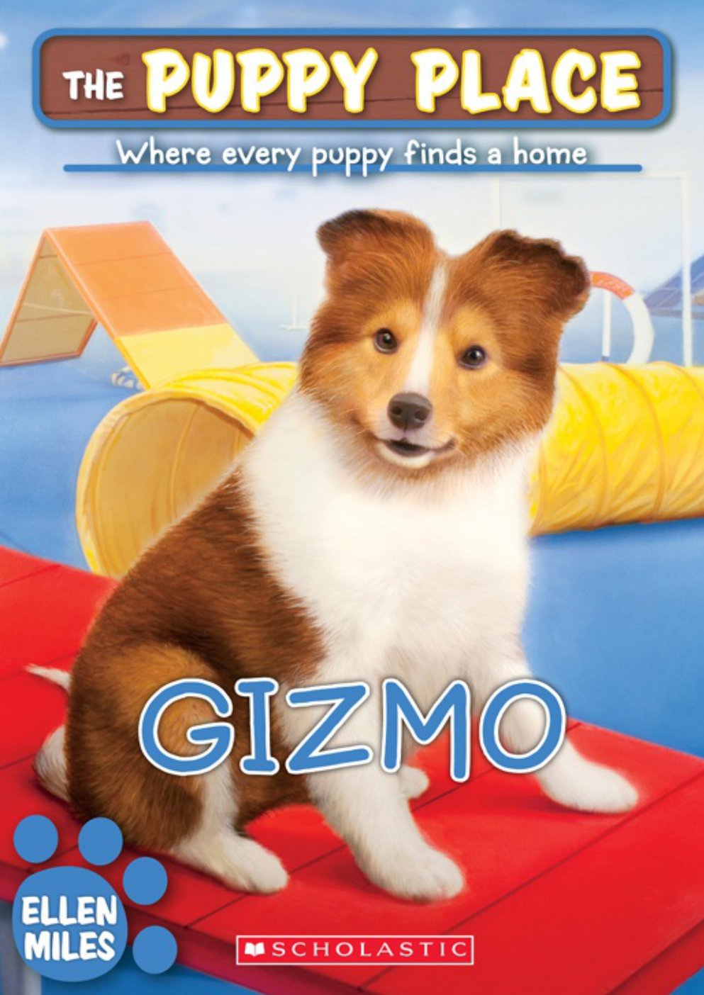 Cover of Gizmo (2013)