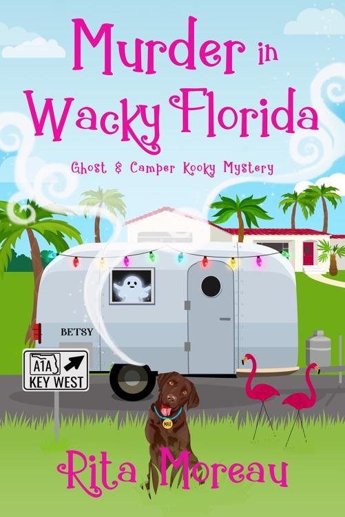 Cover of Murder In Wacky Florida