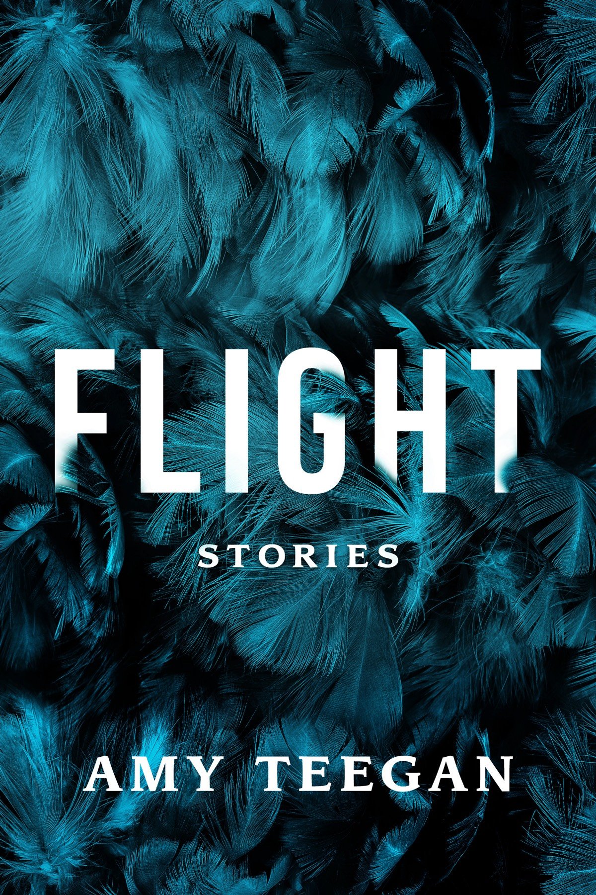 Cover of Flight