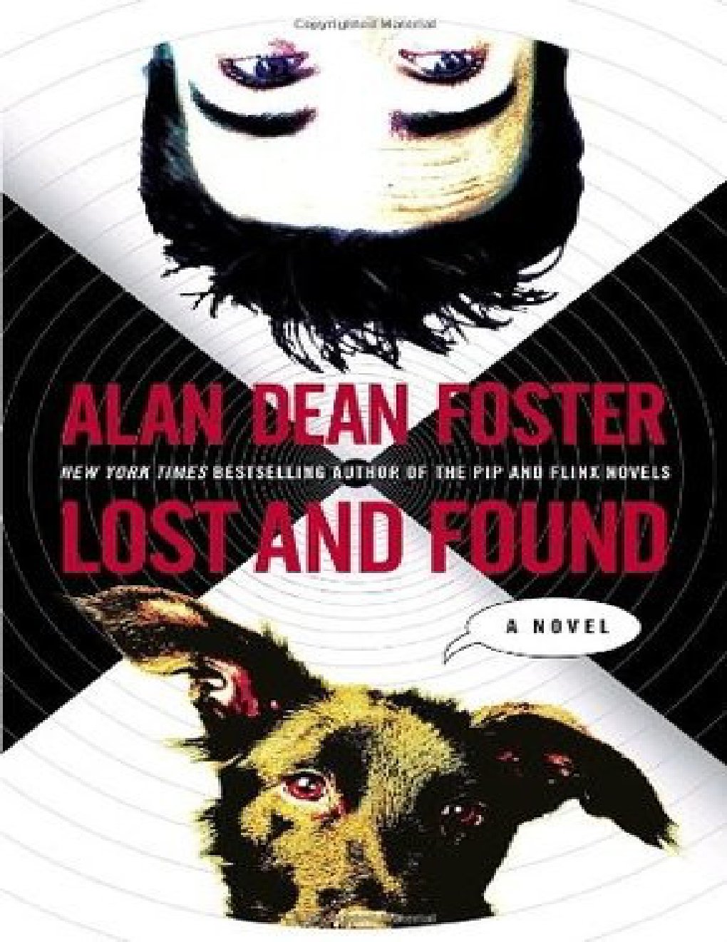 Cover of Lost and Found (2004)