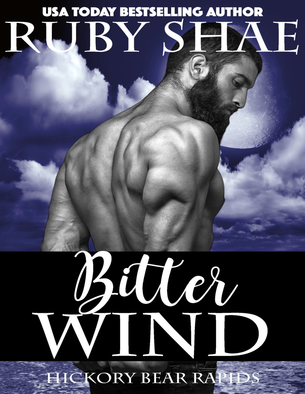 Cover of Bitter Wind