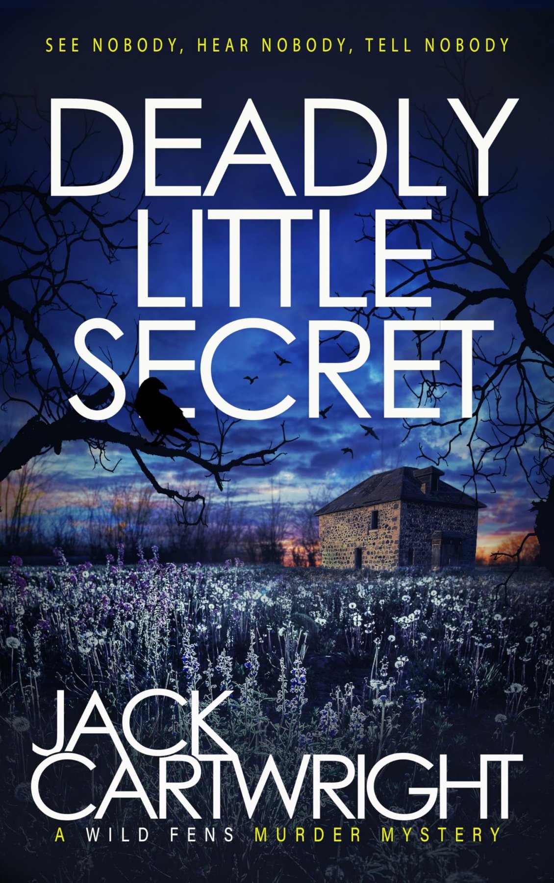 Cover of Deadly Little Secret: A British Murder Mystery