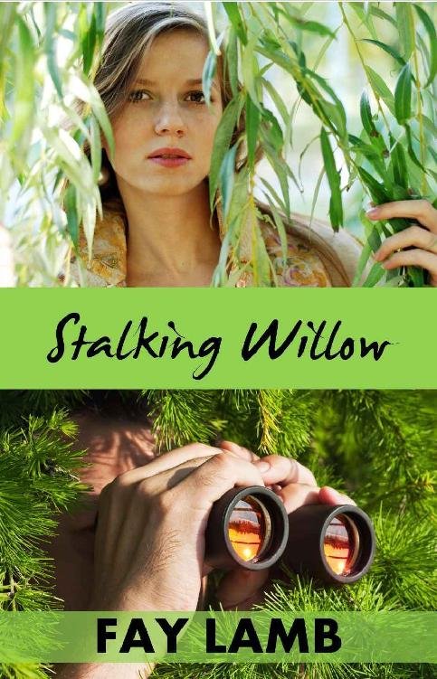 Cover of Stalking Willow (Amazing Grace, North Carolina 01)