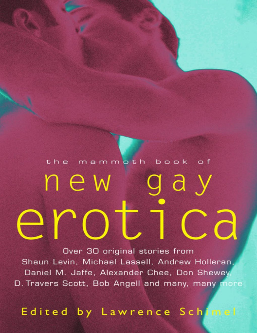 Cover of MBO New Gay Erotica (1971)