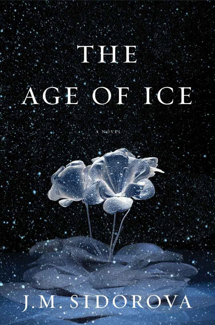 Cover of The Age of Ice- A Novel (1740)