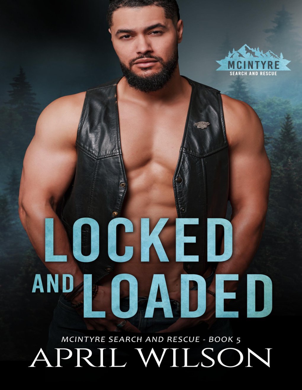 Cover of Locked and Loaded: A small town romantic suspense novel