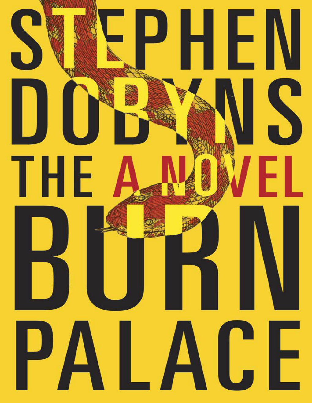 Cover of The Burn Palace