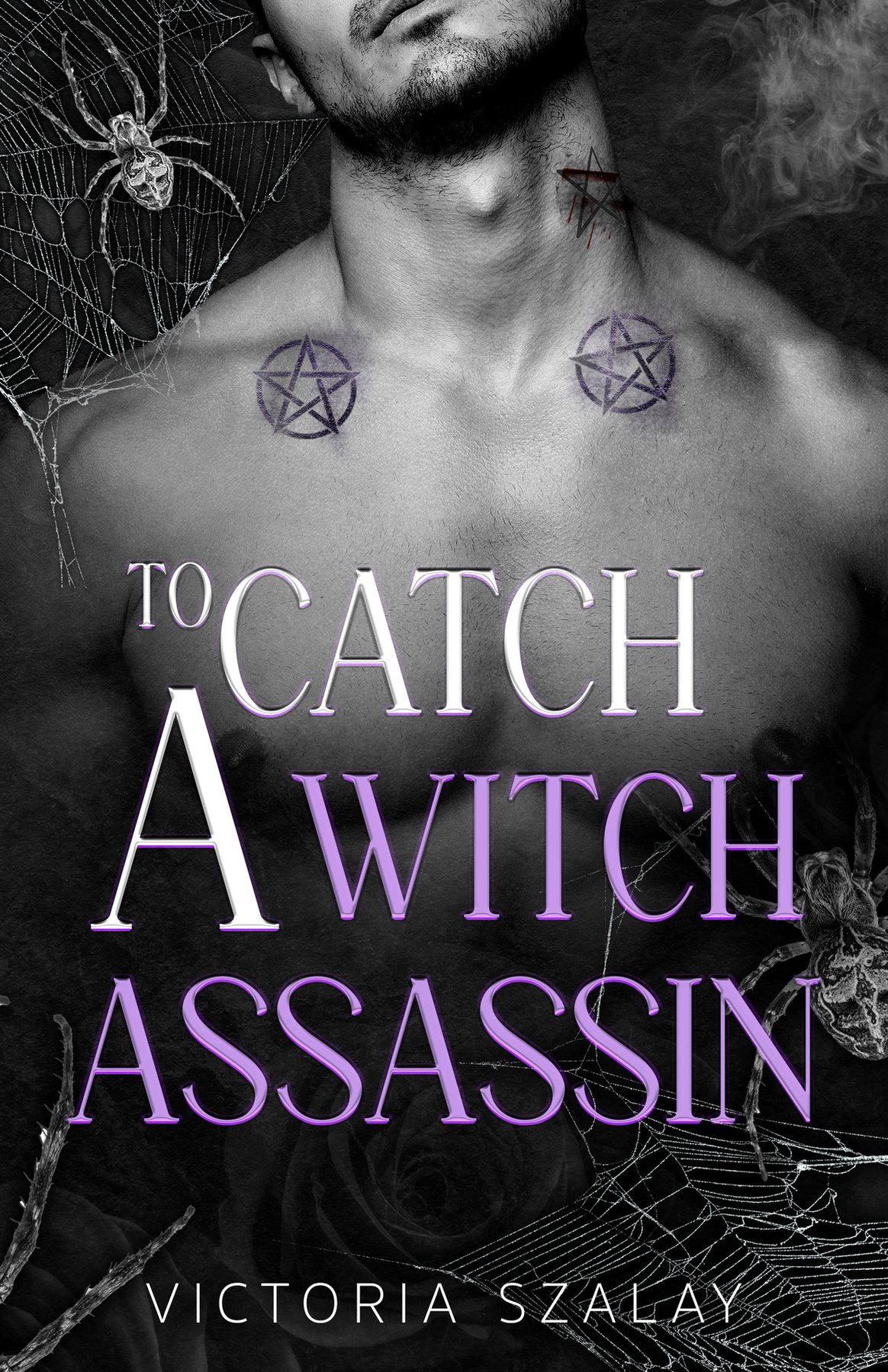 Cover of To Catch a Witch Assassin
