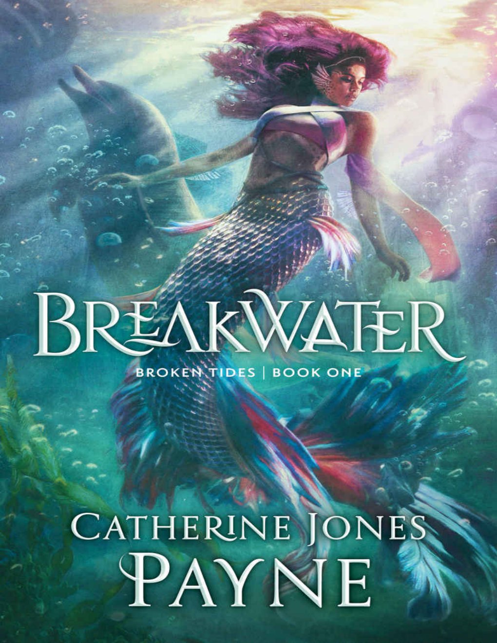 Cover of Breakwater