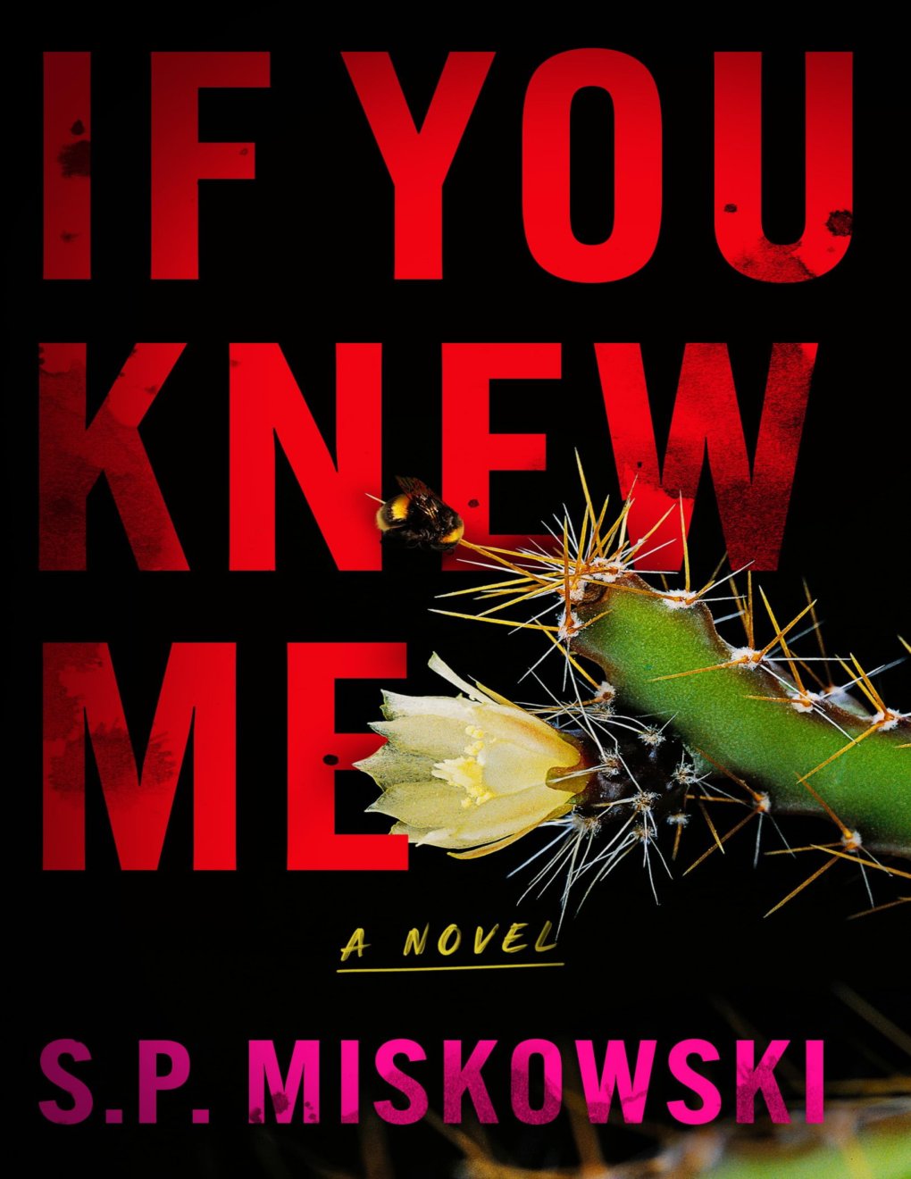 Cover of If You Knew Me: A Novel