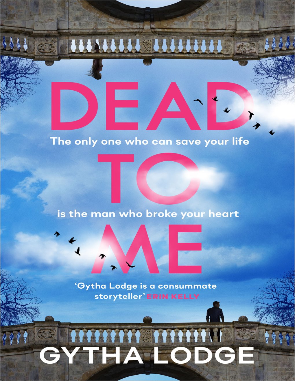 Cover of Dead to Me