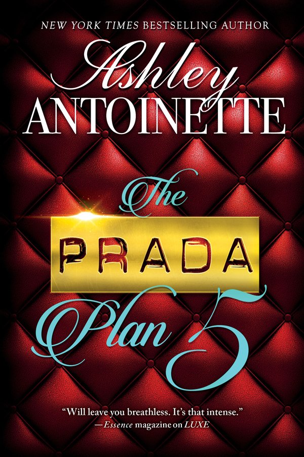 Cover of The Prada Plan 5