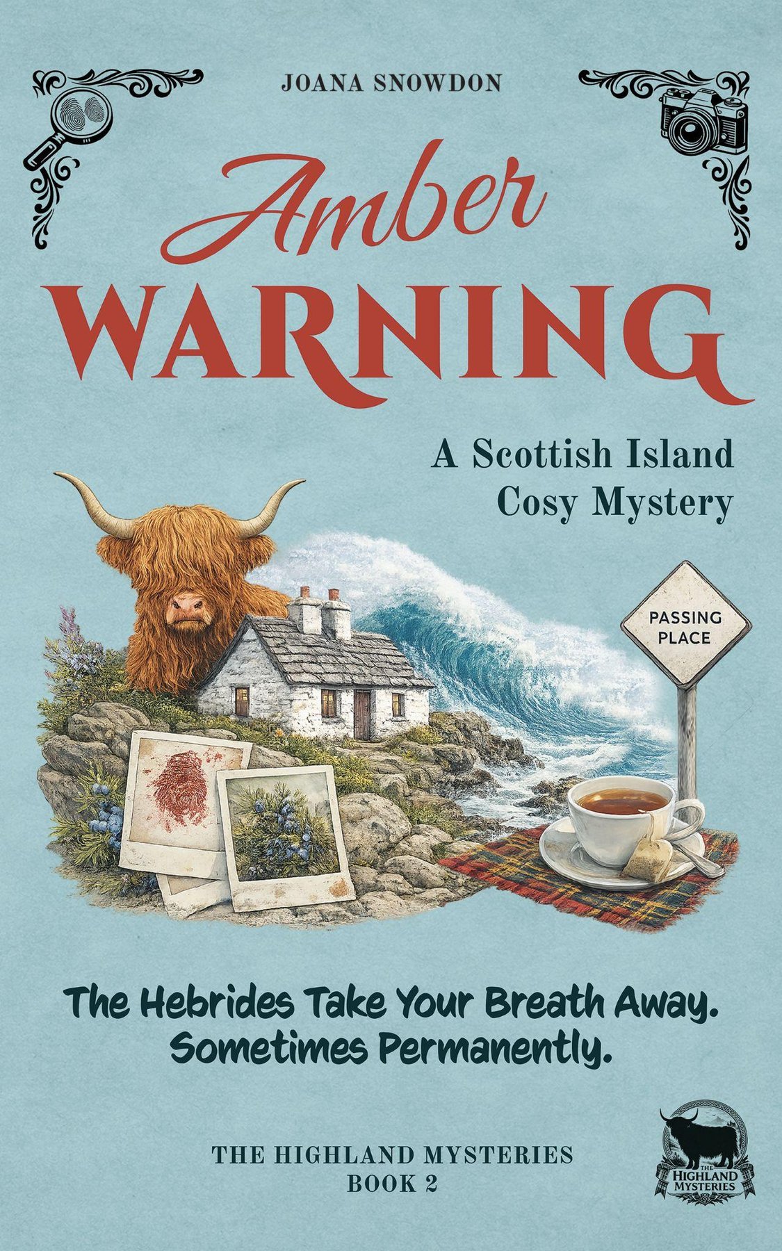 Cover of Amber Warning
