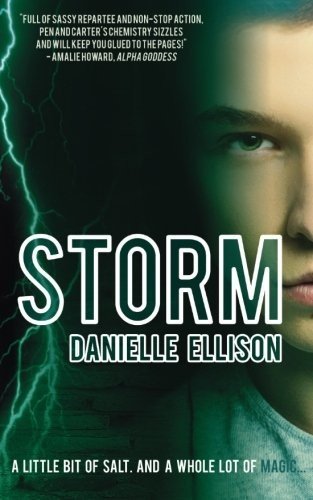 Cover of Storm (2014)