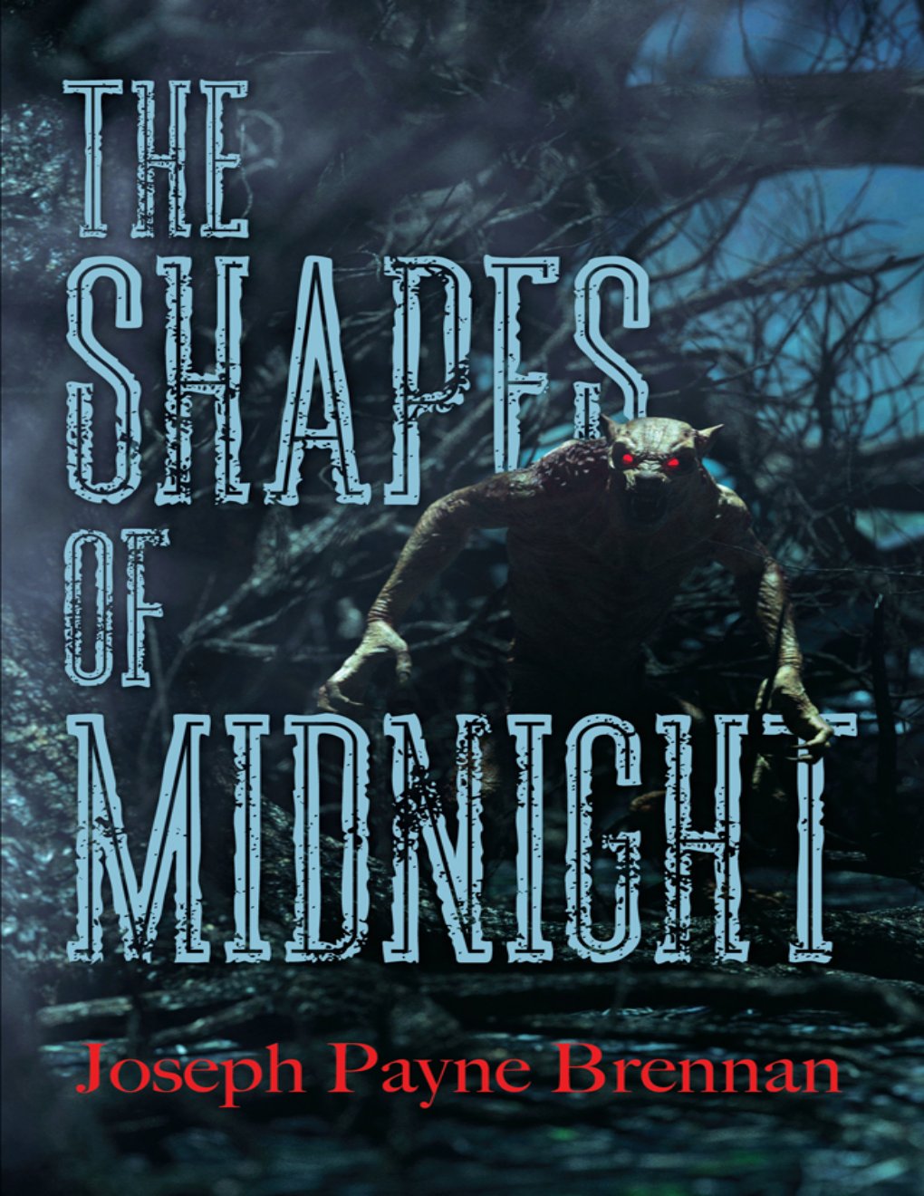 Cover of The Shapes of Midnight