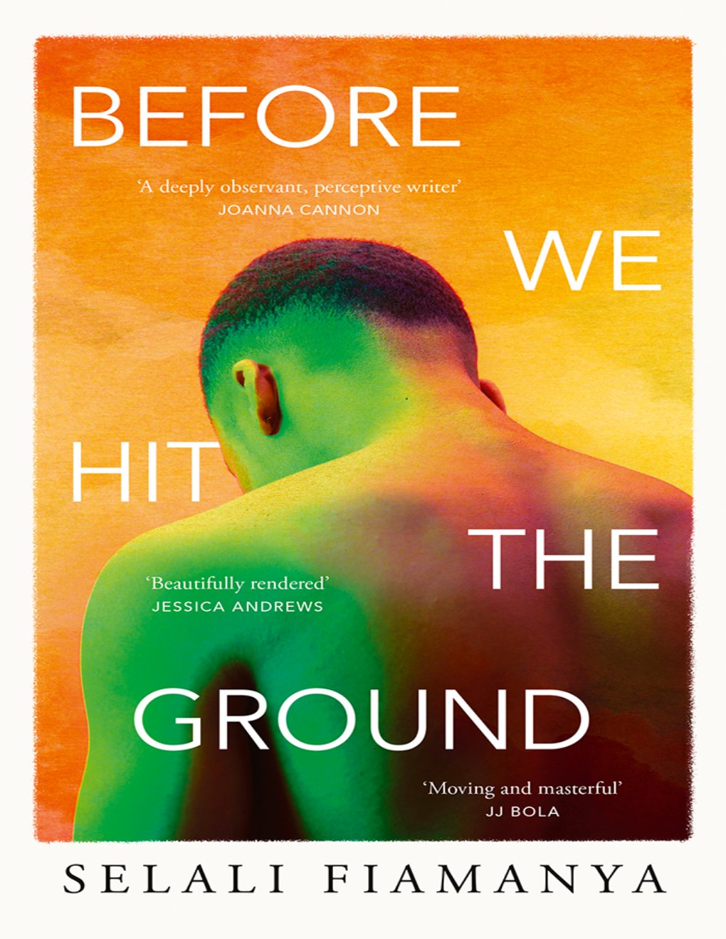 Cover of Before We Hit the Ground