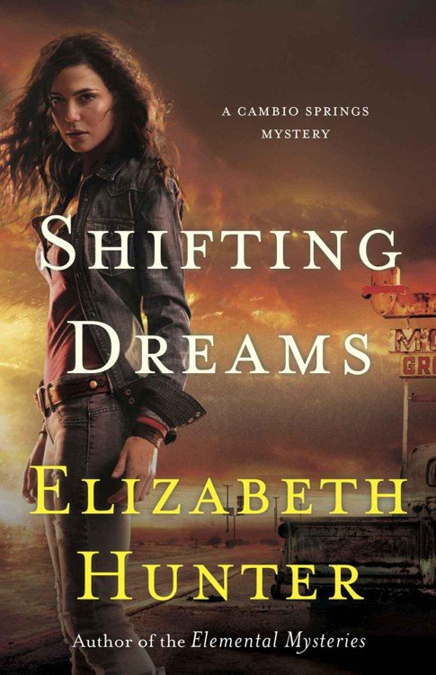 Cover of Shifting Dreams (2013)