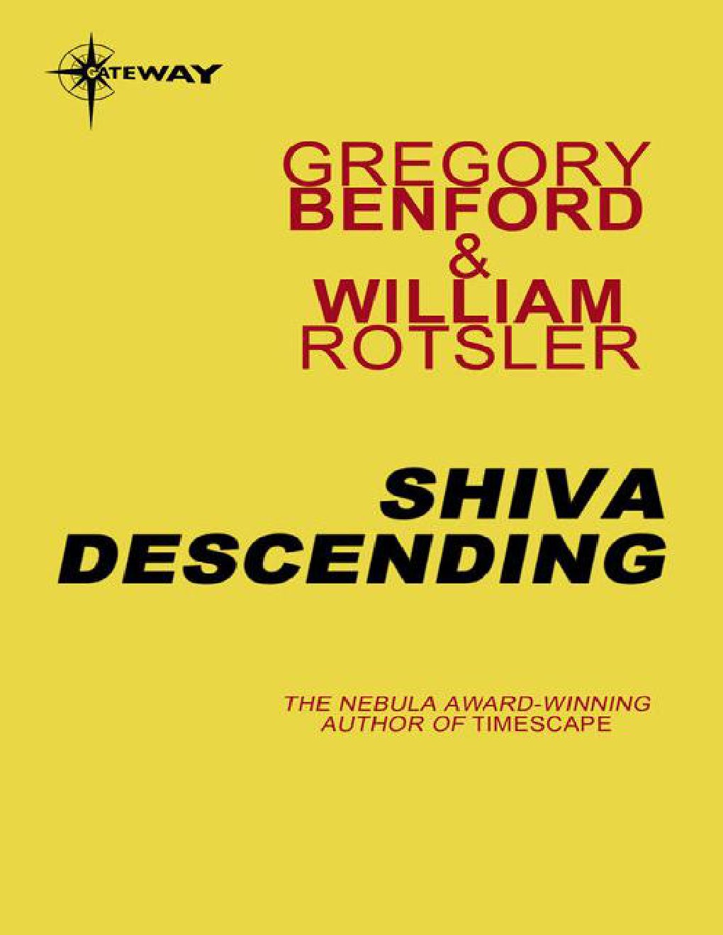 Cover of Shiva Descending