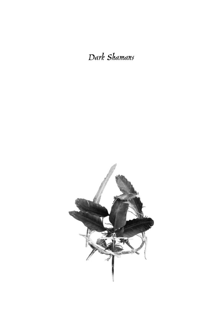 Cover of Dark Shamans