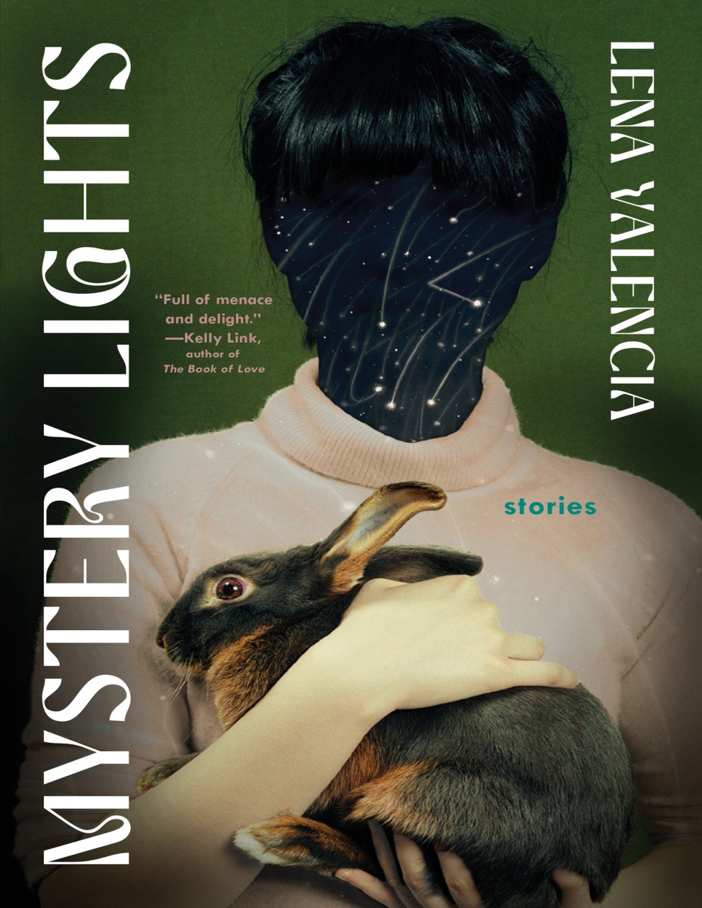 Cover of Mystery Lights (1881)