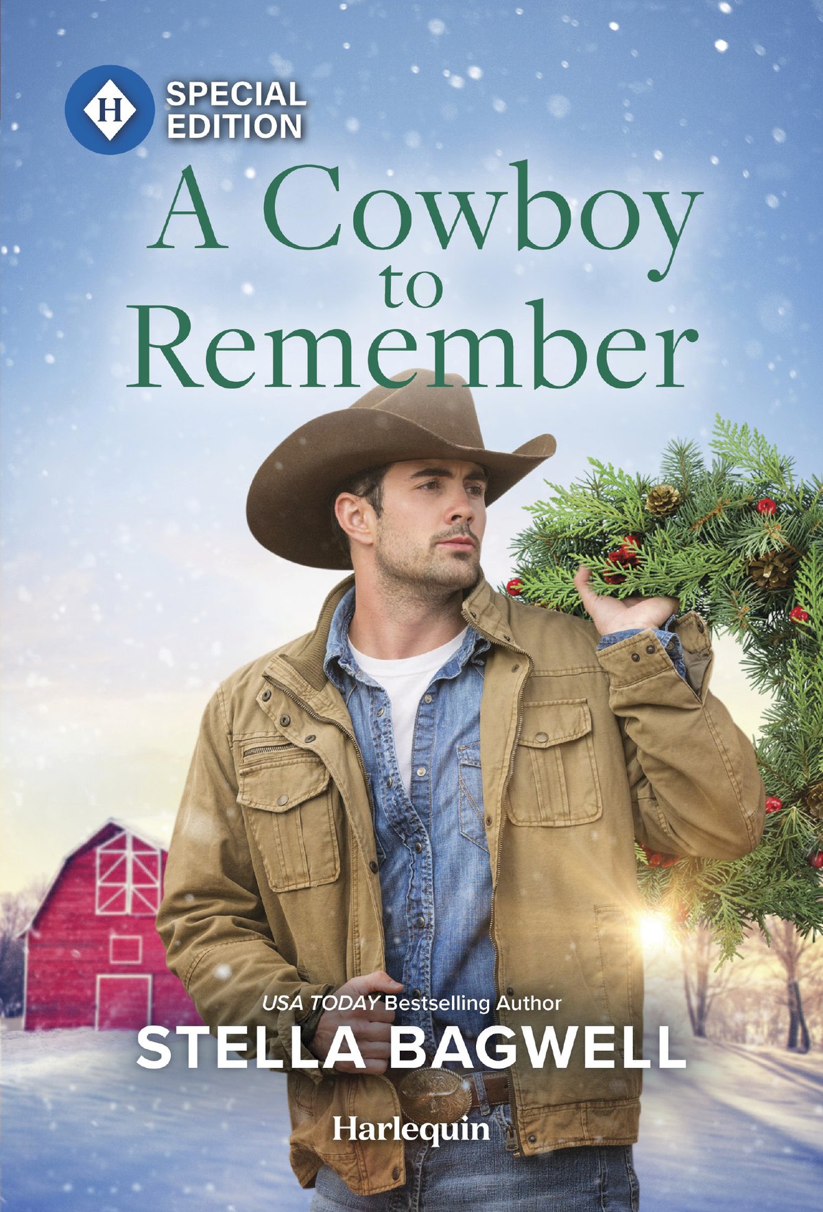 Cover of A Cowboy to Remember (2024)