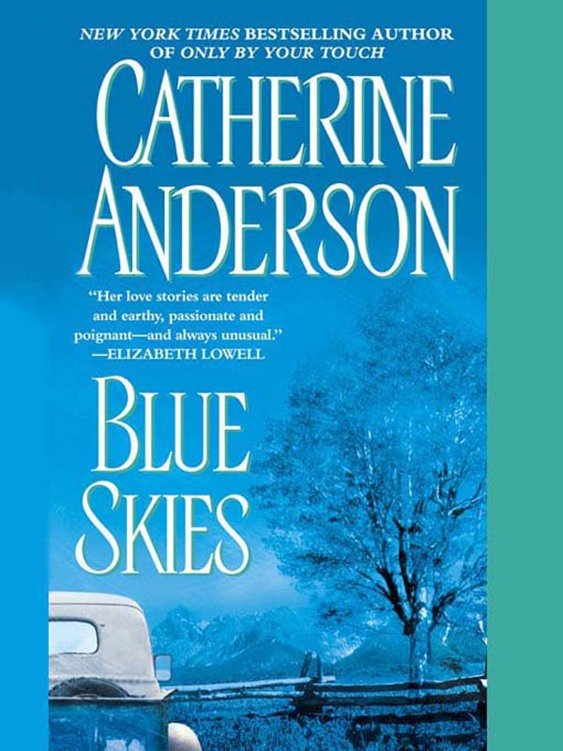 Cover of Blue Skies