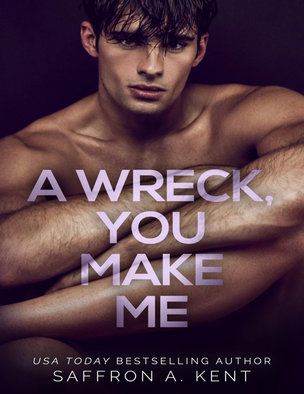 Cover of A Wreck, You Make Me : A Dark Forbidden Bully Romance