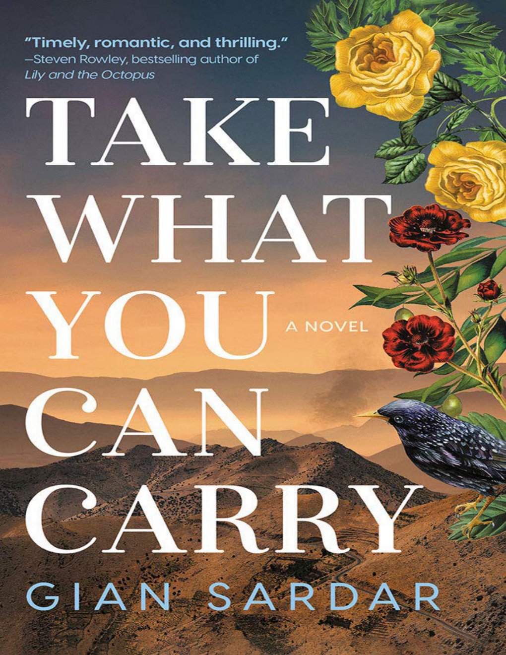 Cover of Take What You Can Carry