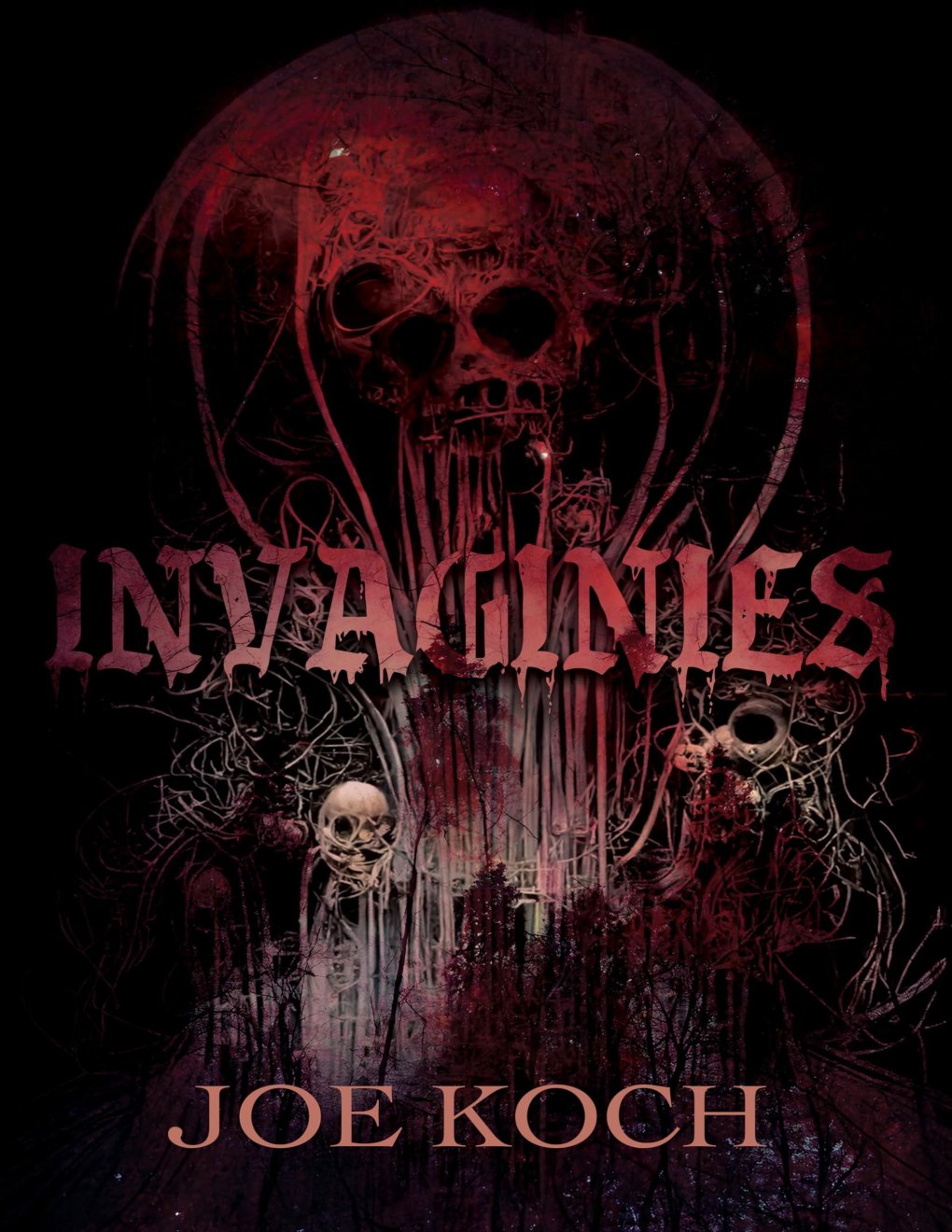 Cover of Invaginies