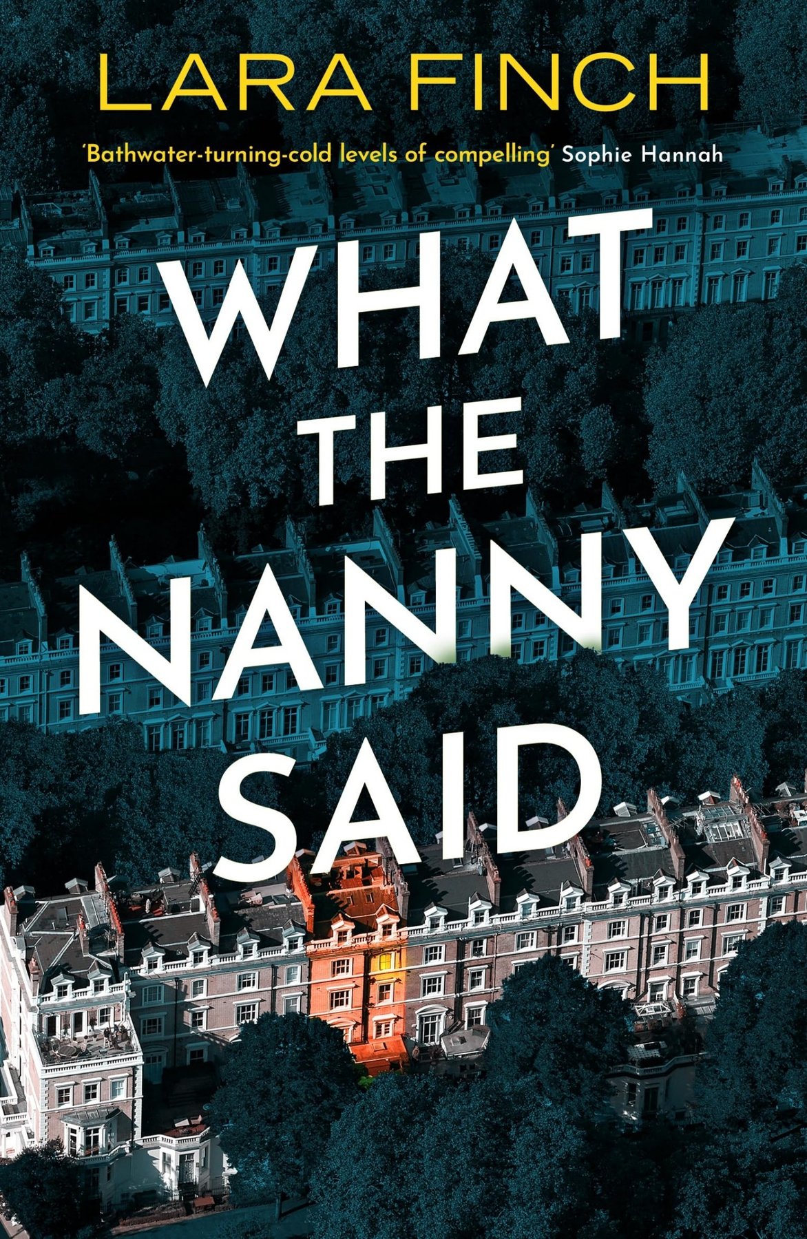 Cover of What the Nanny Said (1996)