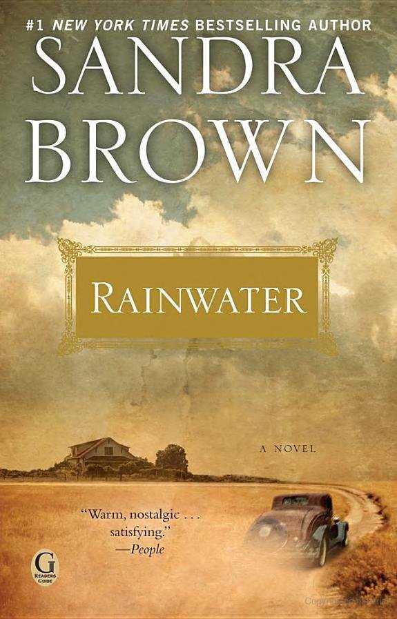 Cover of Rainwater